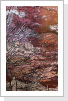 The Blizzard inside my Heart, 60x80, auf Leinwand The Blizzard inside my Heart, 60x80, auf Leinwand