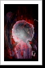 "Es ist Angerichtet", 80 x 100 "Es ist Angerichtet", 80 x 100